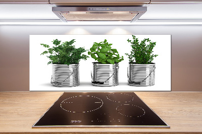 Keuken achterwand Aromatische planten