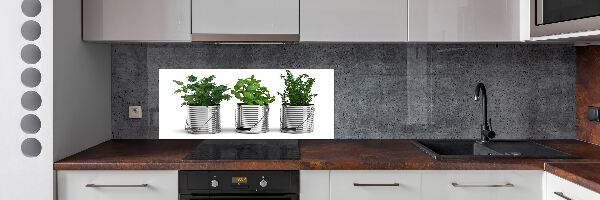 Keuken achterwand Aromatische planten