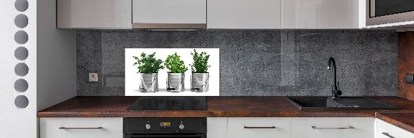 Keuken achterwand Aromatische planten