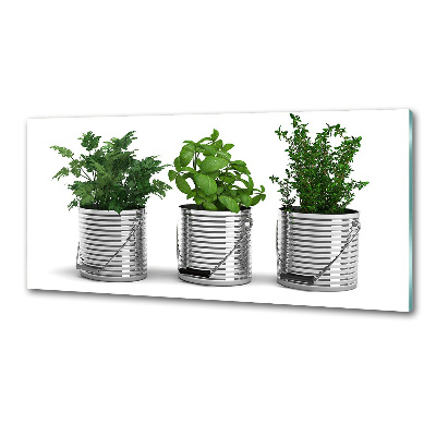 Keuken achterwand Aromatische planten