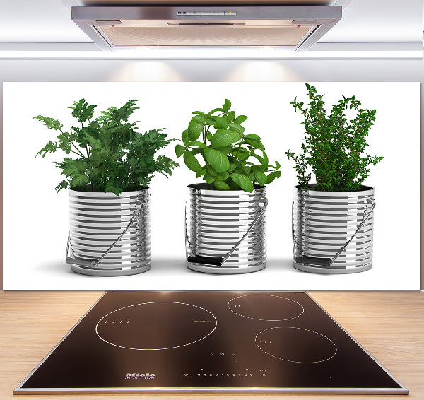 Keuken achterwand Aromatische planten