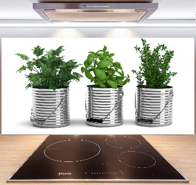 Keuken achterwand Aromatische planten