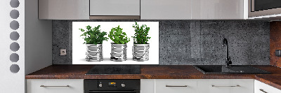Keuken achterwand Aromatische planten