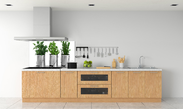Keuken achterwand Aromatische planten
