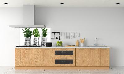 Keuken achterwand Aromatische planten