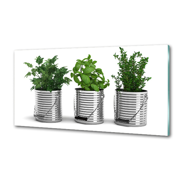 Panel lacobel Aromatyczne rośliny