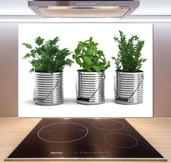 Keuken achterwand Aromatische planten