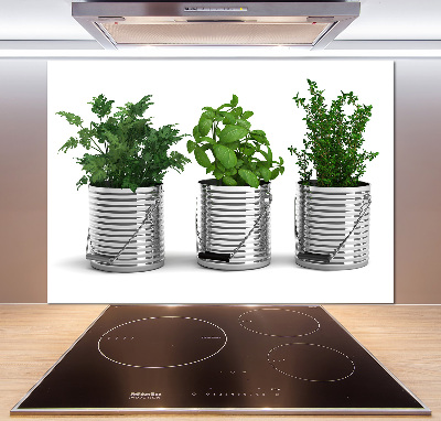 Keuken achterwand Aromatische planten