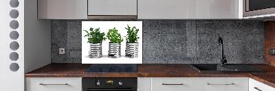 Keuken achterwand Aromatische planten