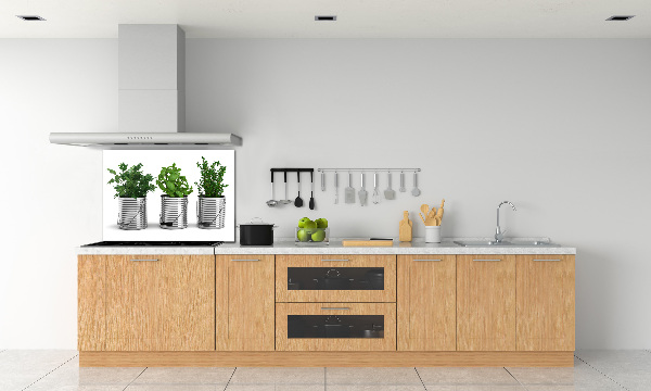 Keuken achterwand Aromatische planten