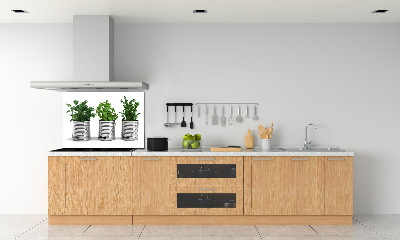 Keuken achterwand Aromatische planten