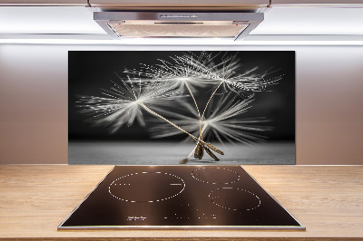 Panel do kuchni Nasiona dmuchawca