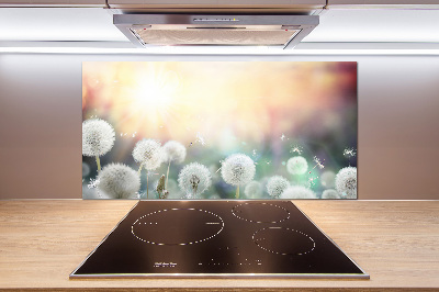 Panel do kuchni Pole dmuchawców