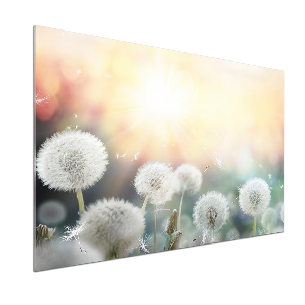 Panel do kuchni Pole dmuchawców