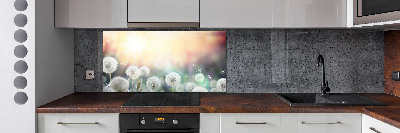 Glazen achterwand keuken Paardenbloemenveld