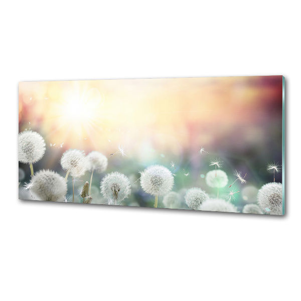 Glazen achterwand keuken Paardenbloemenveld