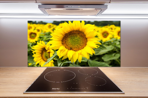 Spatplaat keuken Een veld met zonnebloemen