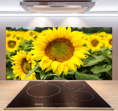 Spatplaat keuken Een veld met zonnebloemen