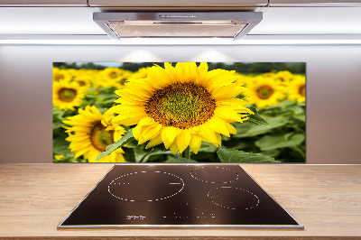 Spatplaat keuken Een veld met zonnebloemen