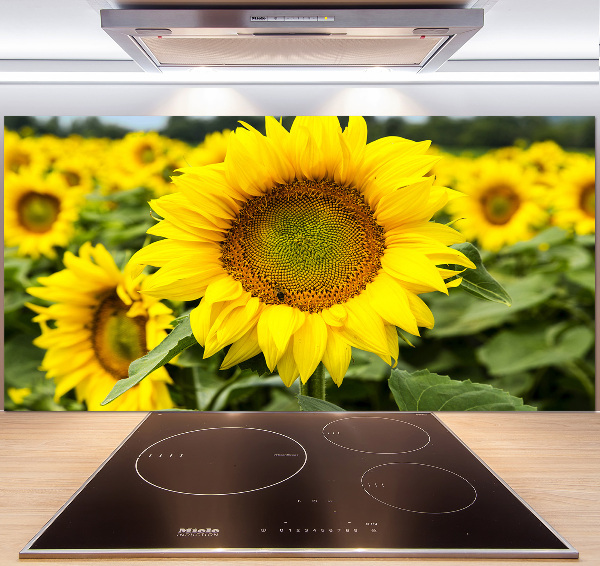 Spatplaat keuken Een veld met zonnebloemen
