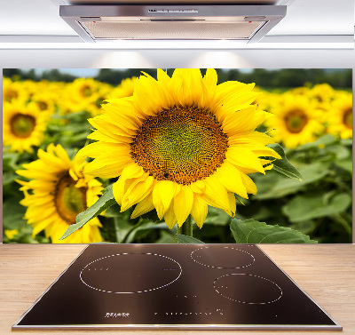 Spatplaat keuken Een veld met zonnebloemen