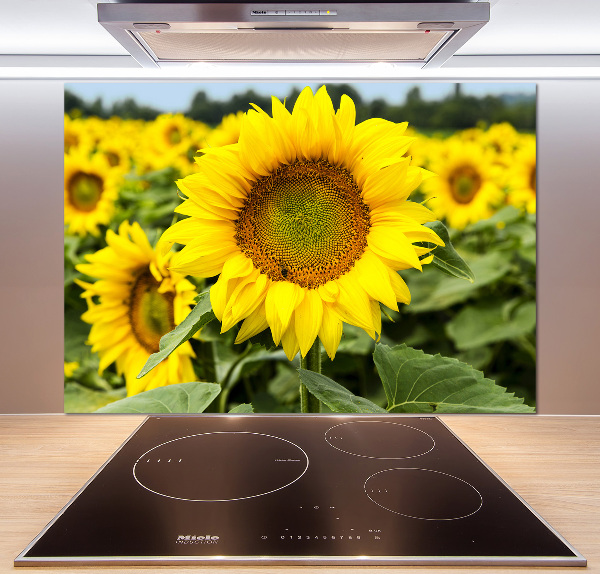 Spatplaat keuken Een veld met zonnebloemen