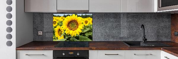 Spatplaat keuken Een veld met zonnebloemen