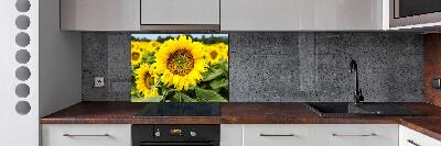 Spatplaat keuken Een veld met zonnebloemen