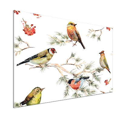 Panel lacobel Leśne ptaki rośliny