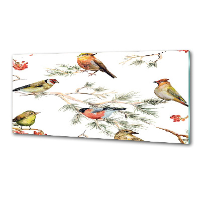 Achterwand keuken Bosvogels en planten