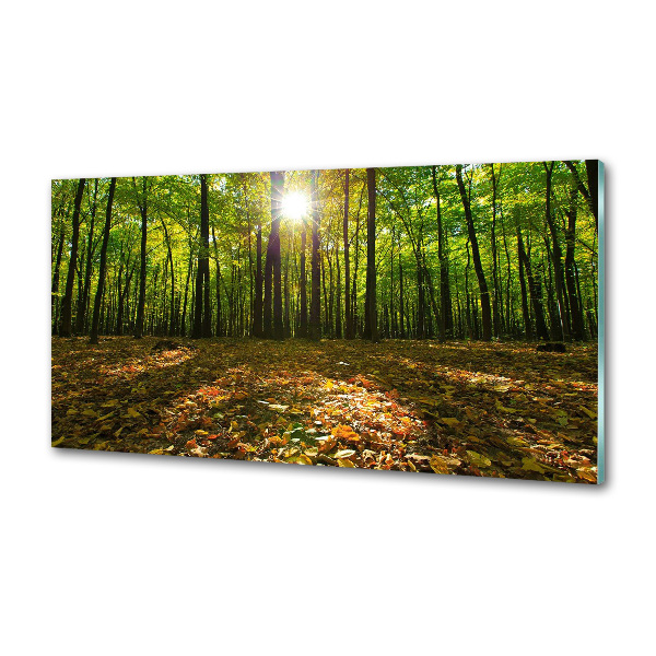 Panel szkło hartowane do kuchni Las