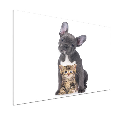 Spatscherm keuken Hond en kat