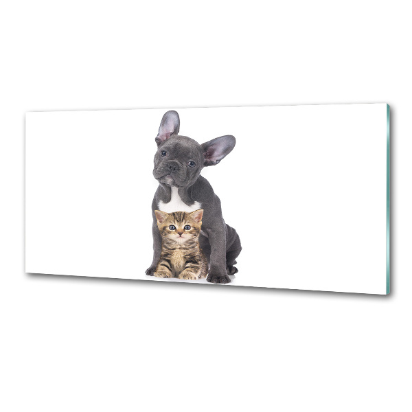 Panel dekor szkło Pies i kot