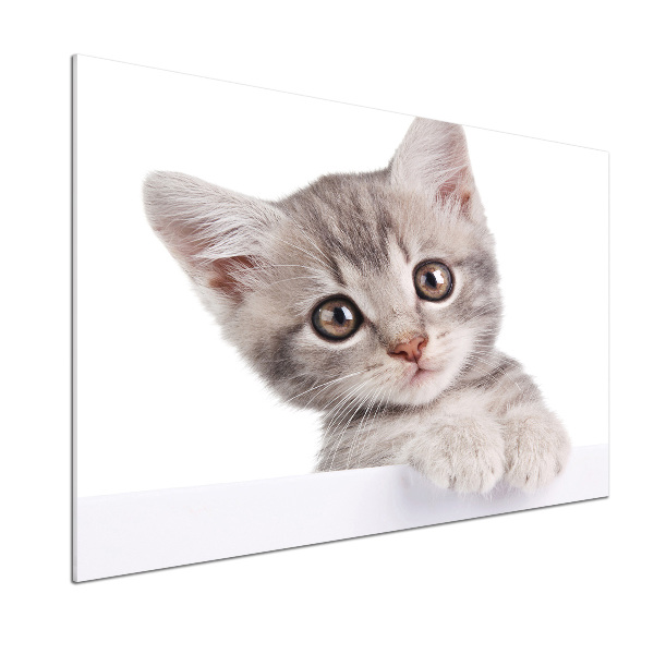 Panel między meble w kuchni Szary kot