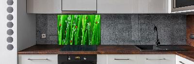 Keuken achterwand Lieveheersbeestjes op het gras