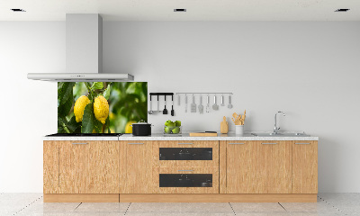 Achterwand keuken Citroenen aan de boom
