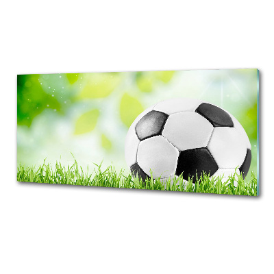 Panel dekor szkło Piłka nożna
