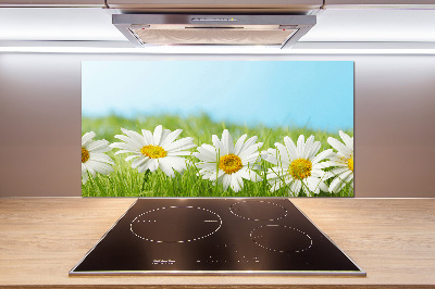 Panel między meble w kuchni Stokrotki