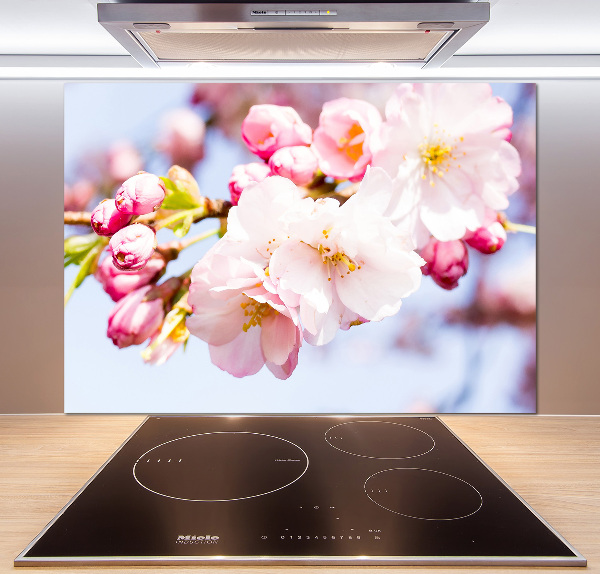 Panel dekor szkło Kwiaty wiśni