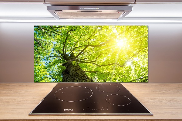 Spatscherm keuken Kastanje in de lente