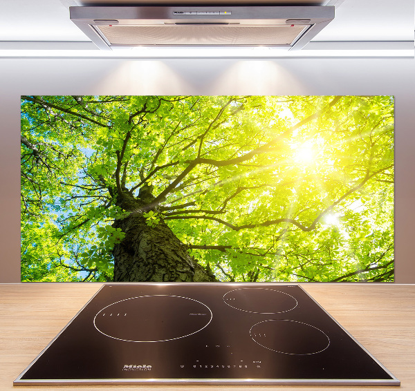Spatscherm keuken Kastanje in de lente