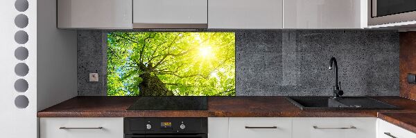 Spatscherm keuken Kastanje in de lente