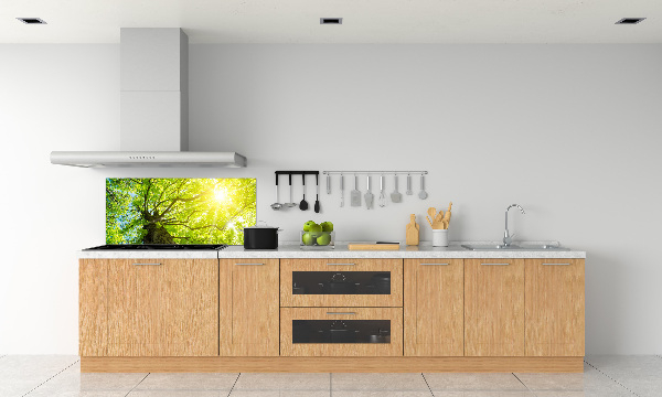 Spatscherm keuken Kastanje in de lente