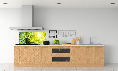 Spatscherm keuken Kastanje in de lente