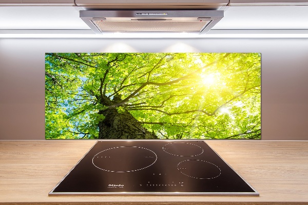 Spatscherm keuken Kastanje in de lente