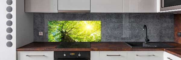 Spatscherm keuken Kastanje in de lente