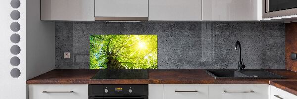 Spatscherm keuken Kastanje in de lente