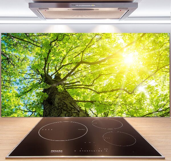 Spatscherm keuken Kastanje in de lente