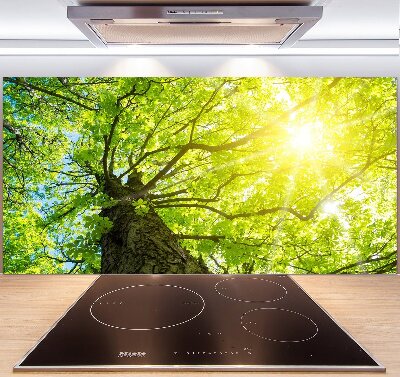 Spatscherm keuken Kastanje in de lente