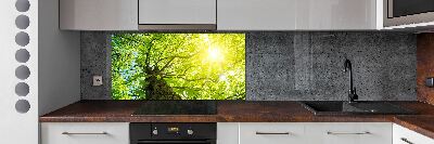 Panel do kuchni Kasztan wiosną